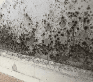 No Win No Fee Housing Disrepair Claims: How It Works