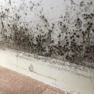 How Long Does a Housing Disrepair Claim Take?