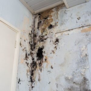 Housing Disrepair Solicitors in London: Making a Claim Against Your Council or Housing Association